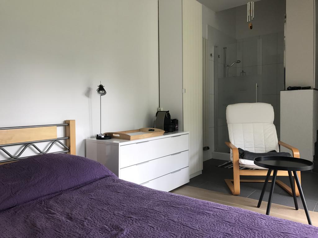 Appartement Haus Eleisa à Brunnen Extérieur photo