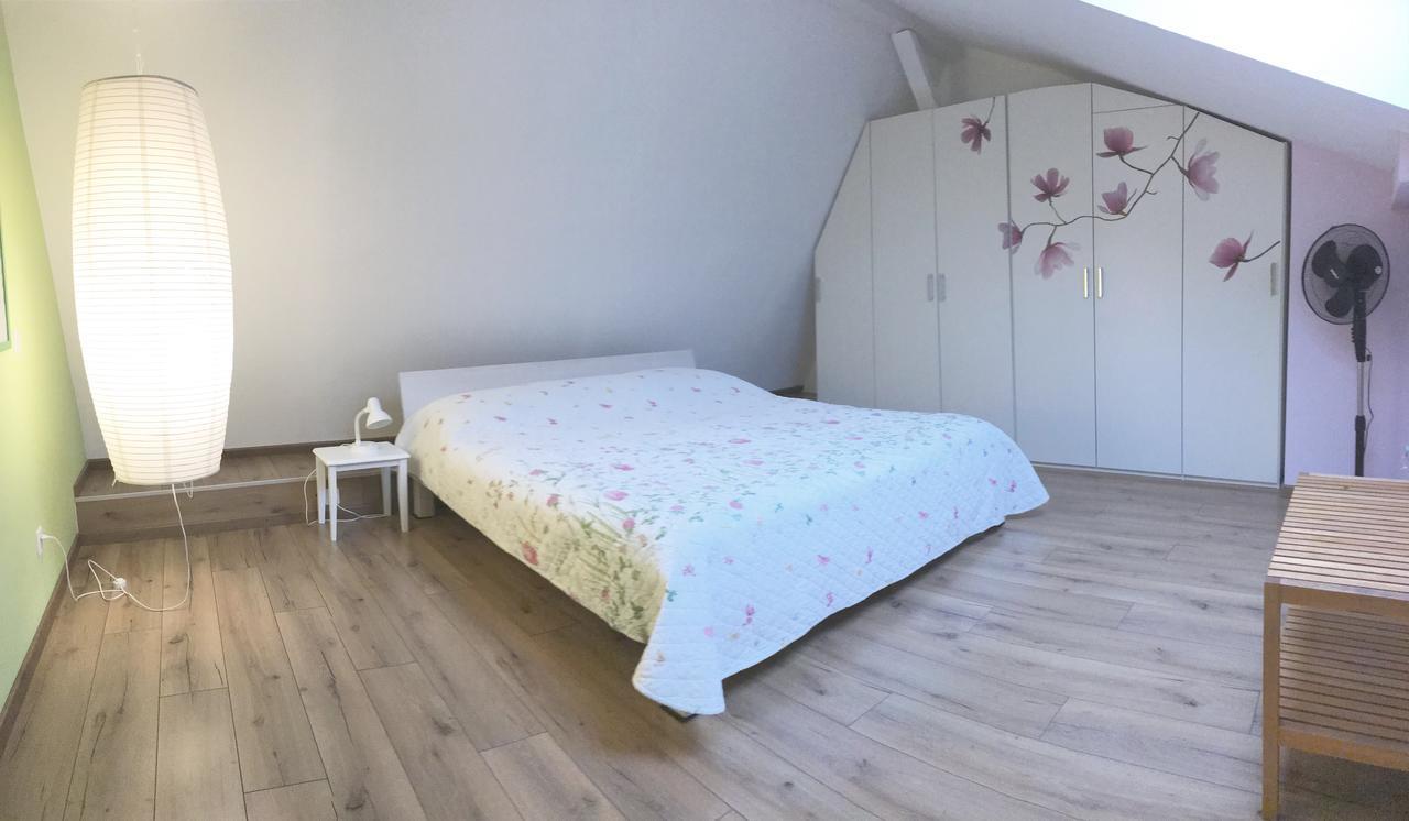 Appartement Haus Eleisa à Brunnen Extérieur photo